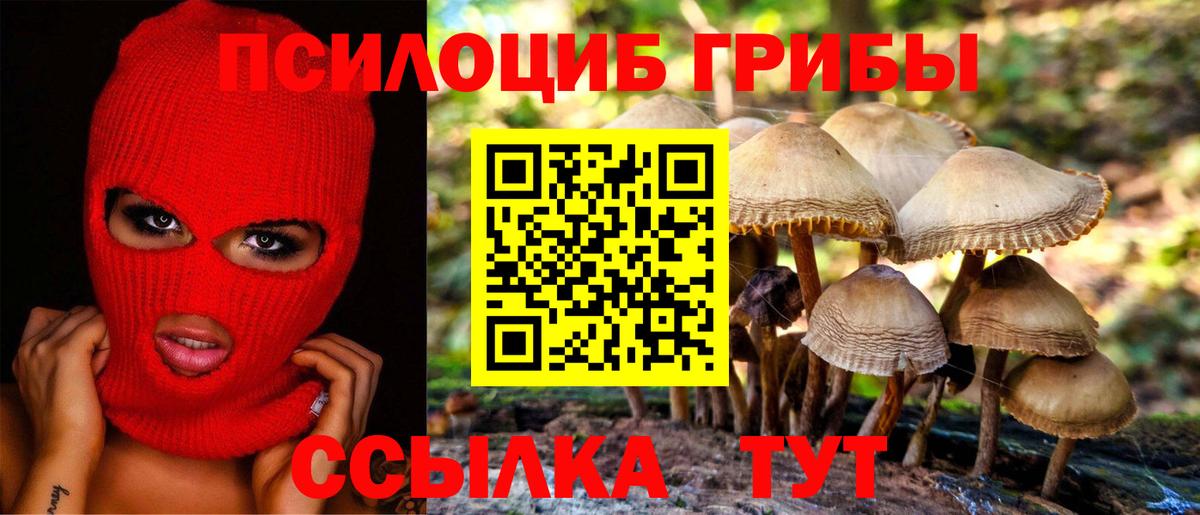 Галлюциногенные грибы Magic Shrooms  Вход с VPN  цены   Новотроицк 
