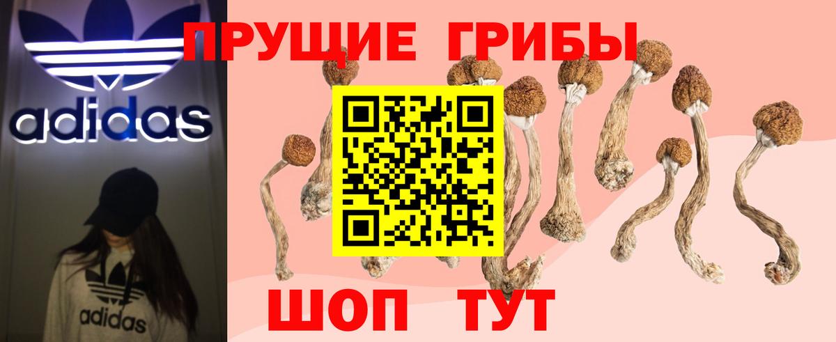 Галлюциногенные грибы ЛСД Новотроицк